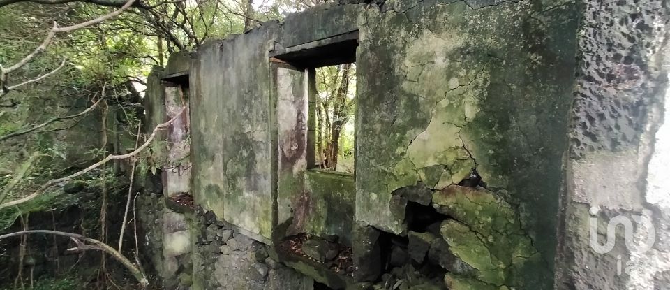 Casa T3 em Lajes do Pico de 212 m²