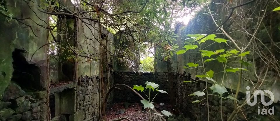 Casa T3 em Lajes do Pico de 212 m²