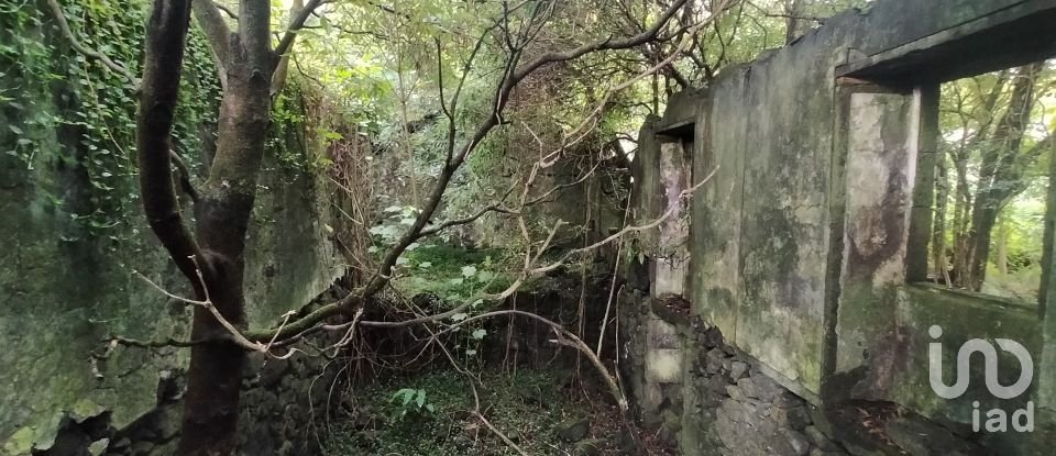 Casa T3 em Lajes do Pico de 212 m²