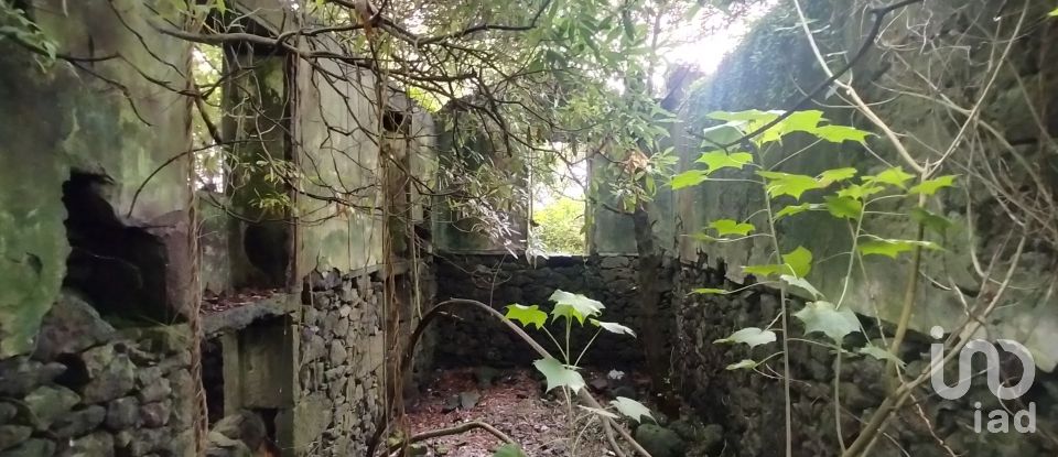 Casa T3 em Lajes do Pico de 212 m²