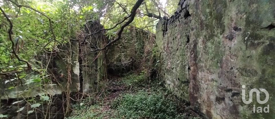 Casa T3 em Lajes do Pico de 212 m²