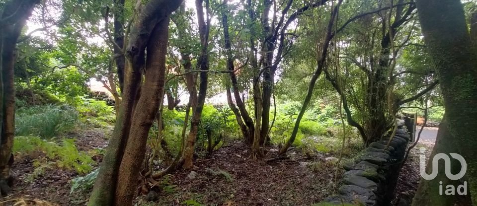 Casa T3 em Lajes do Pico de 212 m²