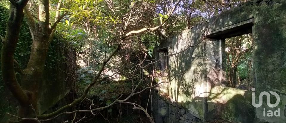 Casa T3 em Lajes do Pico de 212 m²