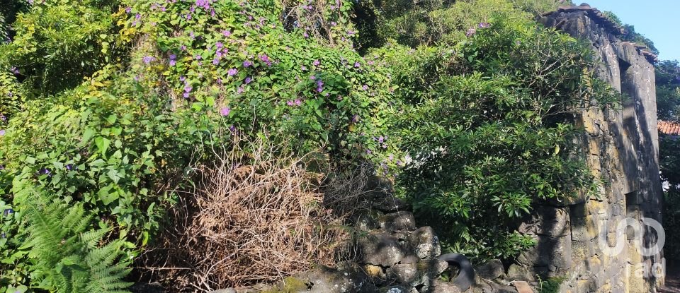 Casa T3 em Lajes do Pico de 212 m²