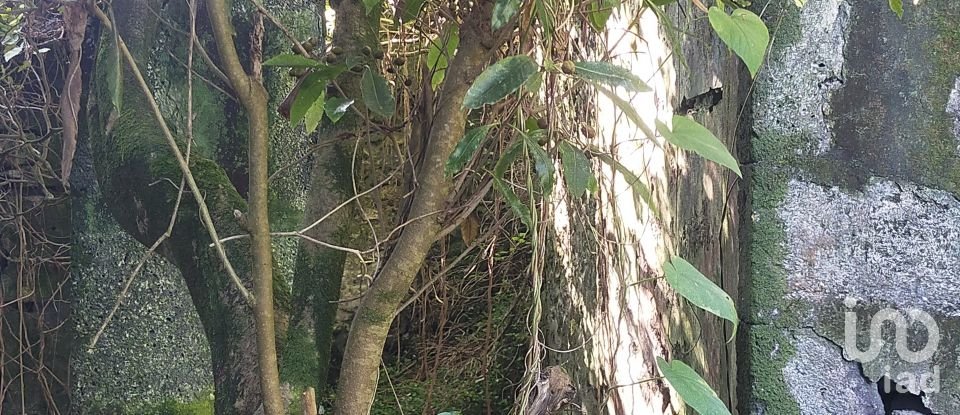 Casa T3 em Lajes do Pico de 212 m²