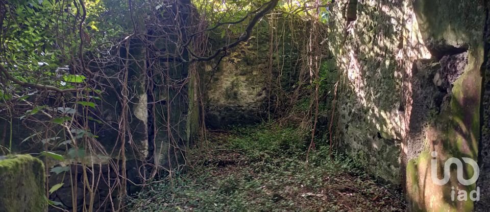 Casa T3 em Lajes do Pico de 212 m²