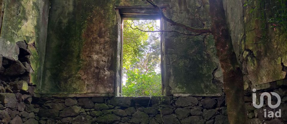 Casa T3 em Lajes do Pico de 212 m²