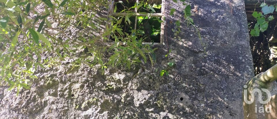 Maison rustique T2 à Piedade de 130 m²