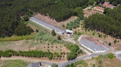 House T0 in Alcobertas of 132 m²