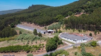 House T0 in Alcobertas of 132 m²