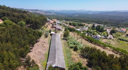 House T0 in Alcobertas of 132 m²