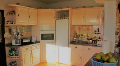 Maison traditionnelle T7 à Fajã da Ovelha de 320 m²