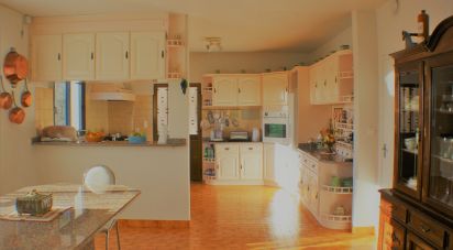 Maison traditionnelle T7 à Fajã da Ovelha de 320 m²