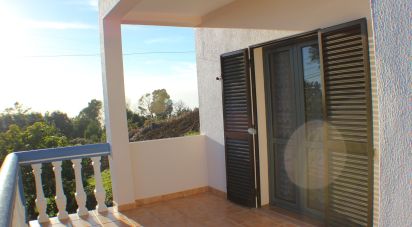 Maison traditionnelle T7 à Fajã da Ovelha de 320 m²