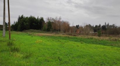 Land in Mira of 810 m²