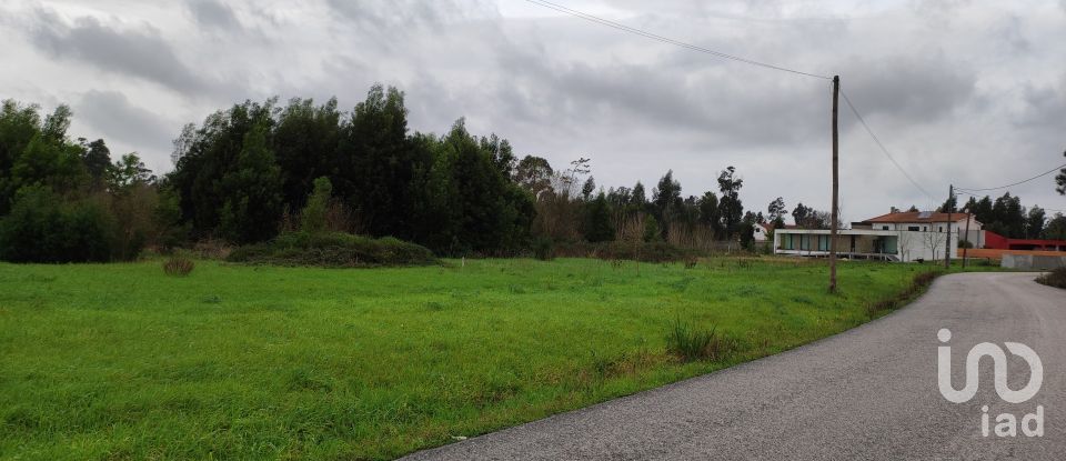 Terreno em Mira de 910 m²