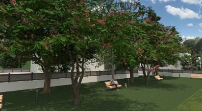 Terrain à bâtir à Rio Maior de 8 240 m²