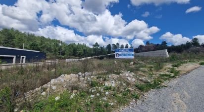 Terrain à bâtir à Aguiar da Beira e Coruche de 1 253 m²