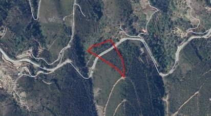 Land in Monchique of 928 m²