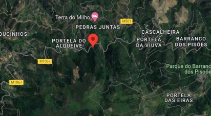 Terrain à Monchique de 928 m²