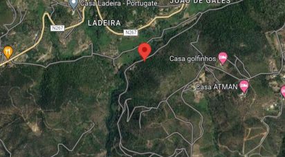 Land in Monchique of 40,400 m²