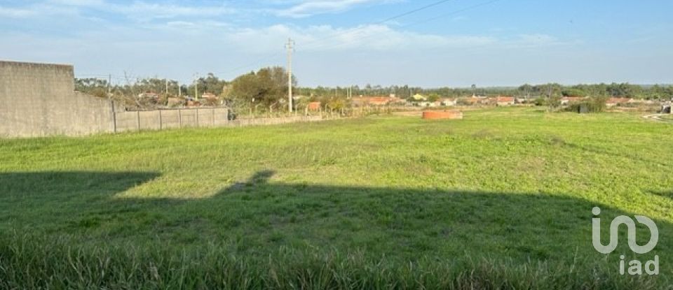 Land in Monte Redondo e Carreira of 2,615 m²