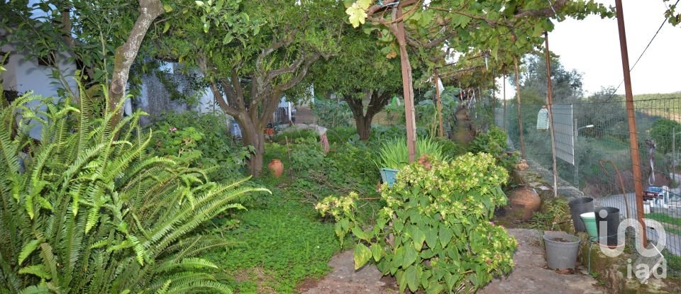 Moradia T3 em São Miguel, Santa Eufémia e Rabaçal de 180 m²