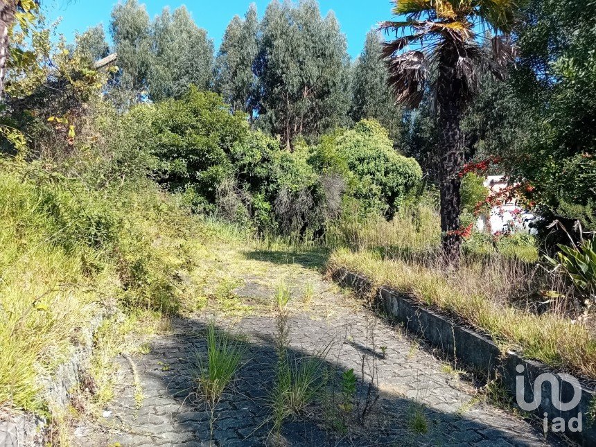 Terreno em Baguim do Monte (Rio Tinto) de 456 m²