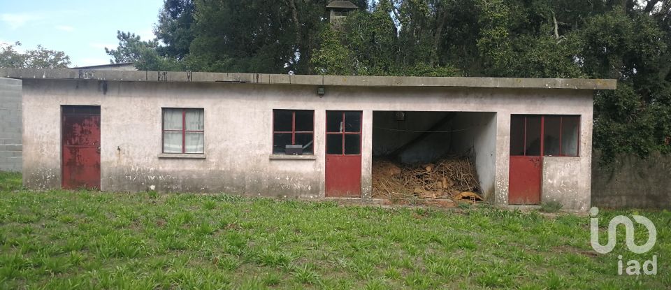 Village house T3 in Maçãs de Dona Maria of 116 m²