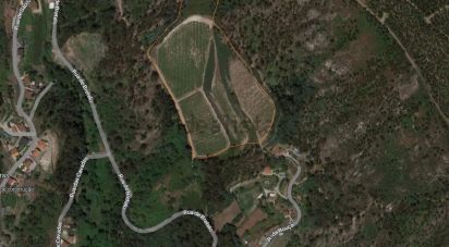Terrain agricole à Sousela de 62 400 m²