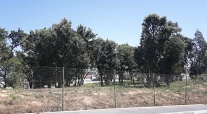 Land in Avintes of 4,500 m²