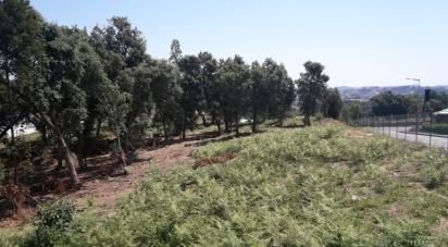 Land in Avintes of 4,500 m²