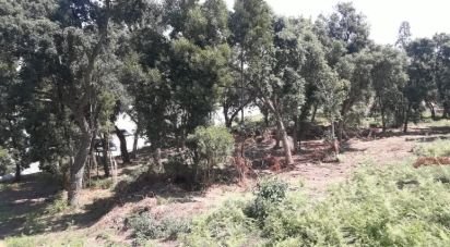 Land in Avintes of 4,500 m²