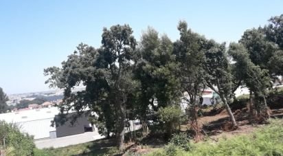 Land in Avintes of 4,500 m²