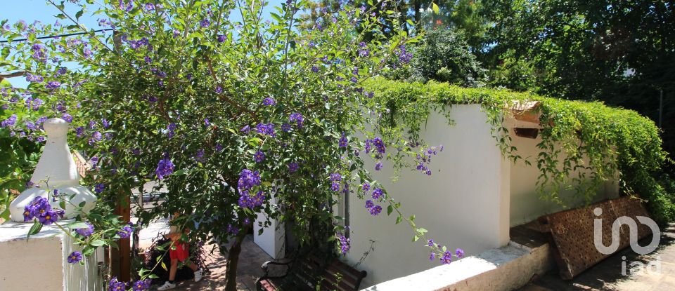 Comércio diverso em Silves de 300 m²