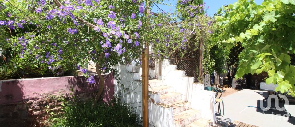 Comércio diverso em Silves de 300 m²