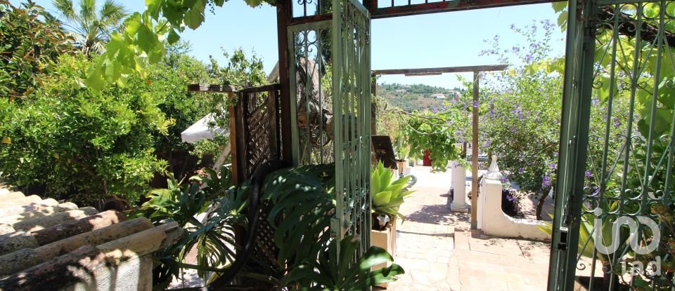 Comércio diverso em Silves de 300 m²