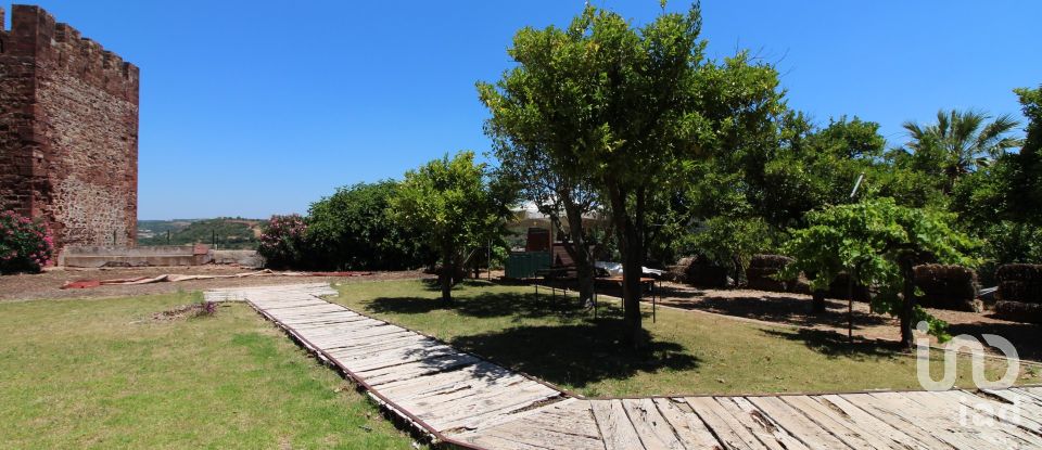 Comércio diverso em Silves de 300 m²