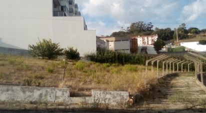 Terreno em Alcobaça e Vestiaria de 55 000 m²