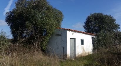 House T1 in São Marcos da Serra of 14 m²