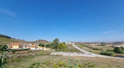 Terrain à Freiria de 359 m²