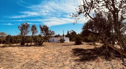 Country house T2 in Luz of 107 m²