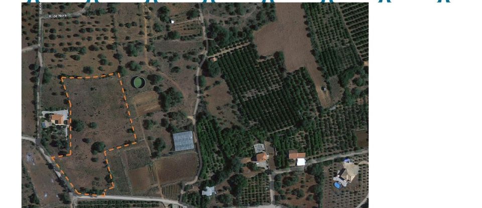 Agricultural land in São Bartolomeu de Messines of 12,800 m²