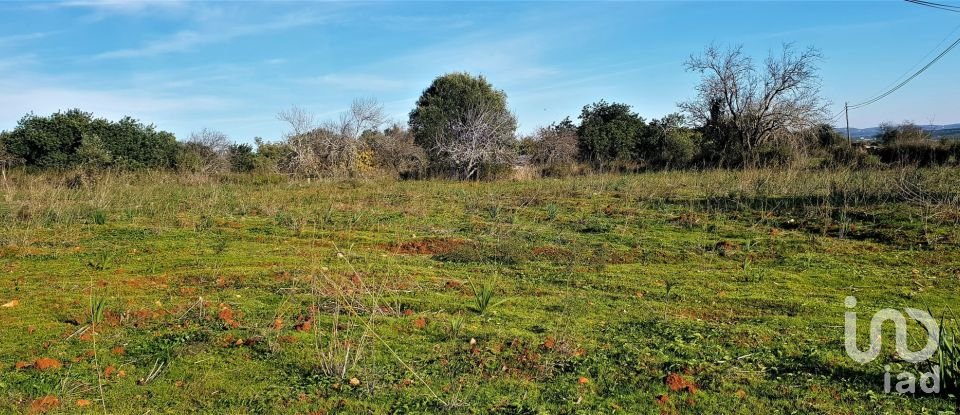 Terreno Agrícola em São Bartolomeu de Messines de 12 800 m²