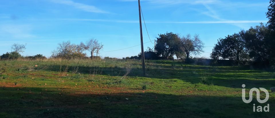 Agricultural land in São Bartolomeu de Messines of 12,800 m²