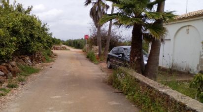 Terrain agricole à São Bartolomeu de Messines de 4 833 m²