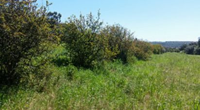 Maison T5 à Silves de 720 m²