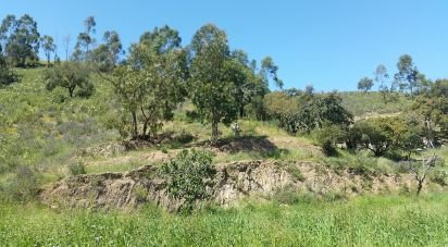 Maison T5 à Silves de 720 m²