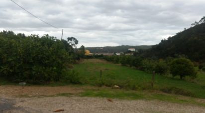 Maison T5 à Silves de 720 m²