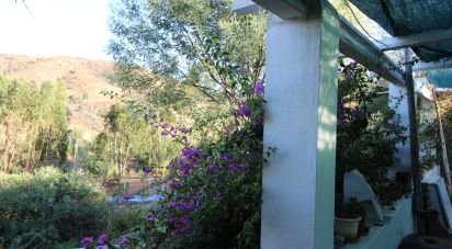 Domaine T2 à Silves de 220 m²